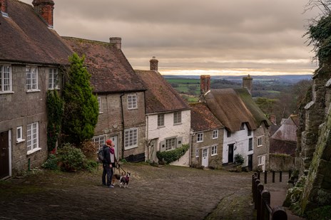 Man standing at top of Gold Hill in Shaftsbury with two dogs