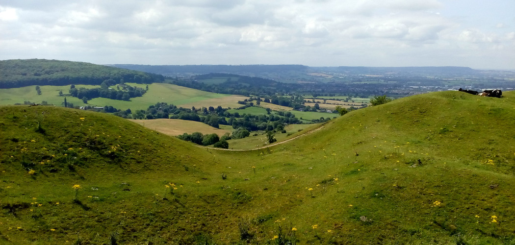 View from the top of Haresfield Beacon of the surrounding countryside